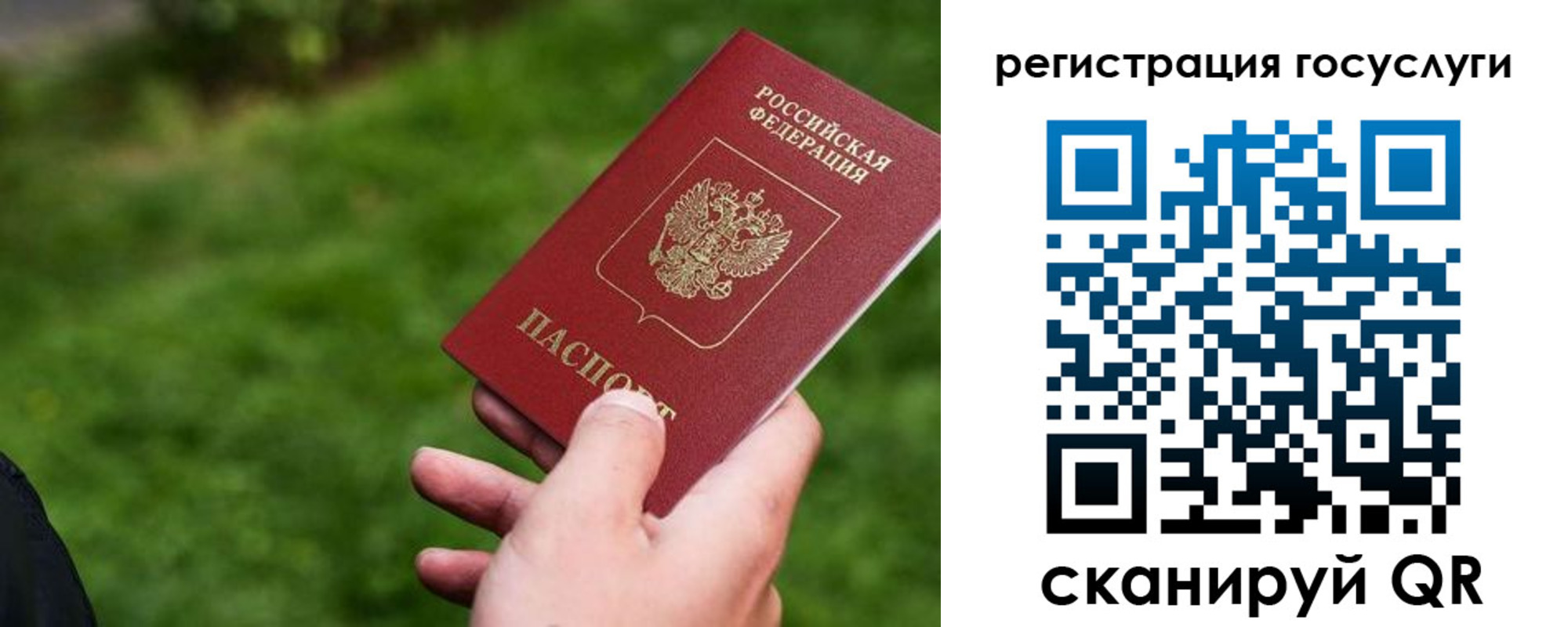 временная регистрация 2025 в Светлогорске