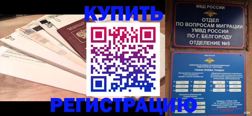 временная регистрация в Светлогорске